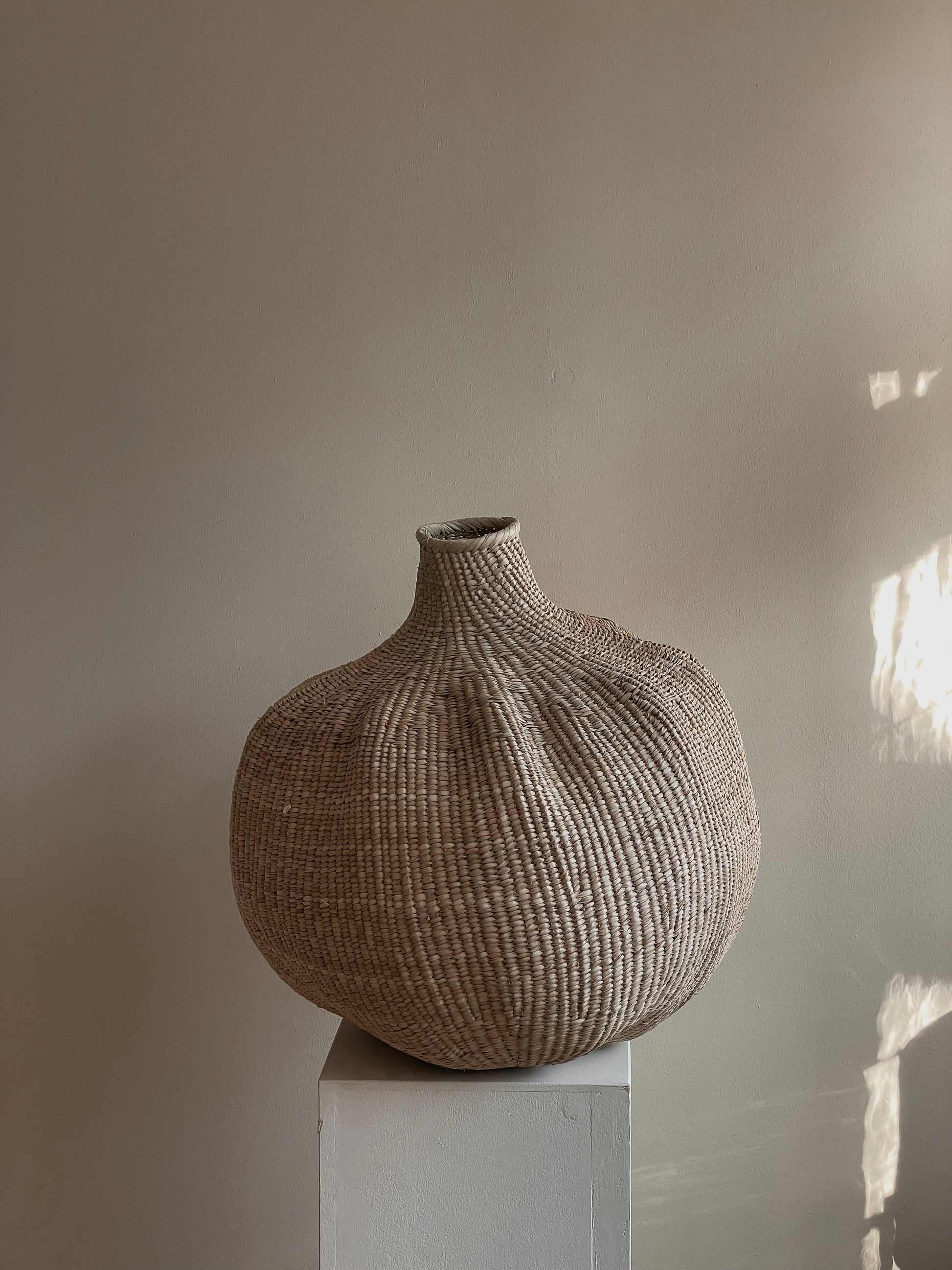 The garlic gourd photographed on a pedestal against a neutral wall