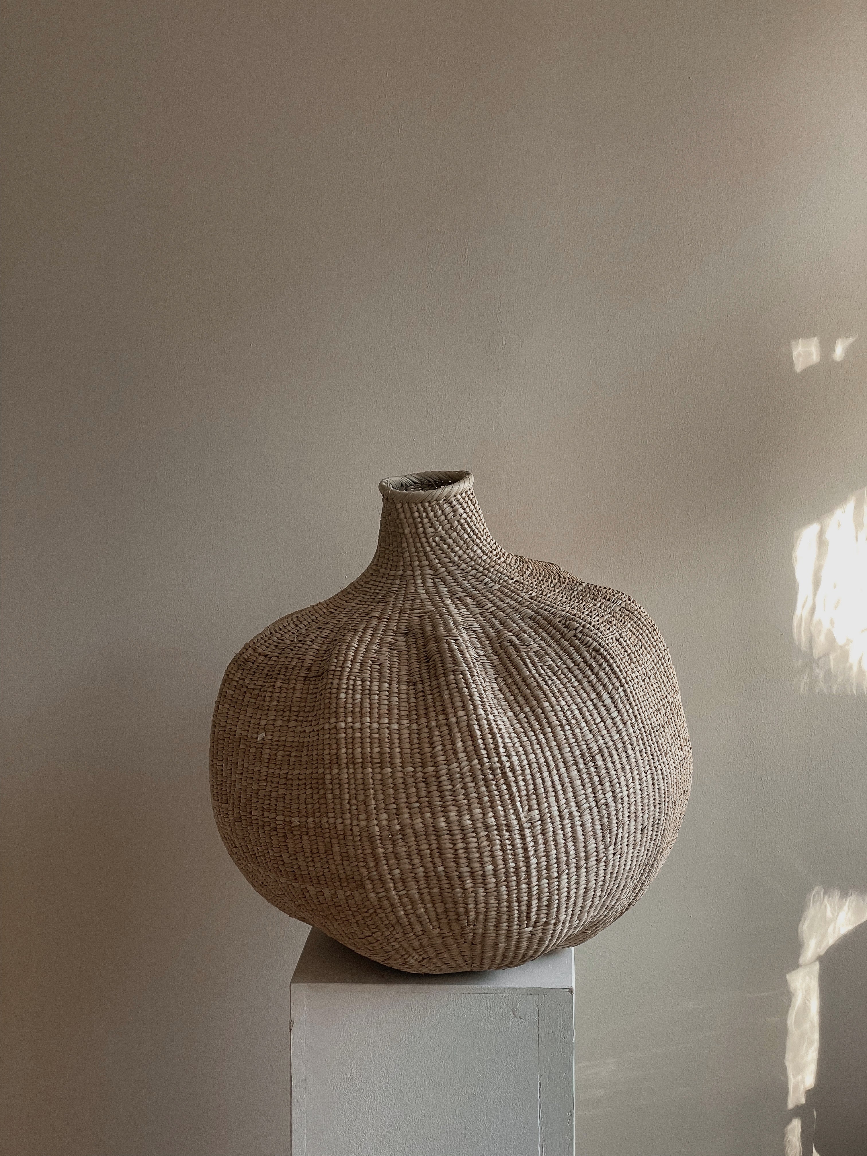 The garlic gourd photographed on a pedestal against a neutral wall