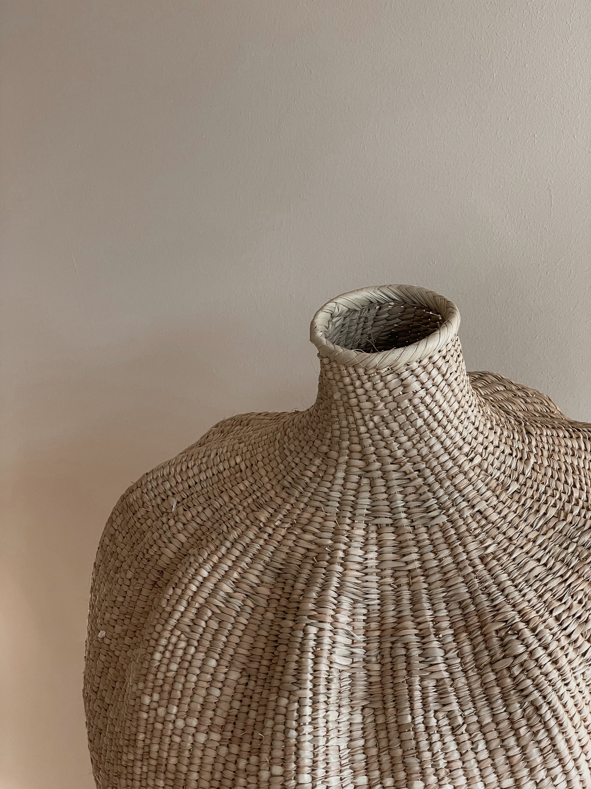 The garlic gourd photographed against a neutral wall