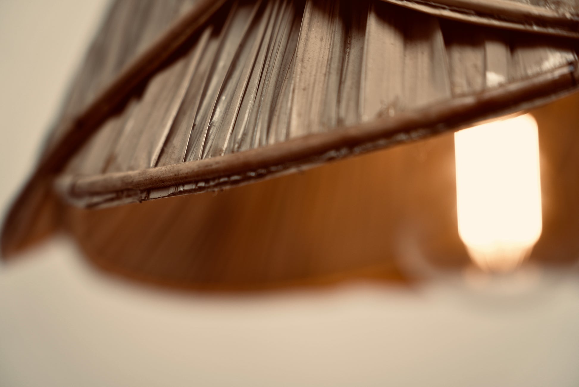 A close-up of the palm leaf lampshade photographed against a neutral background