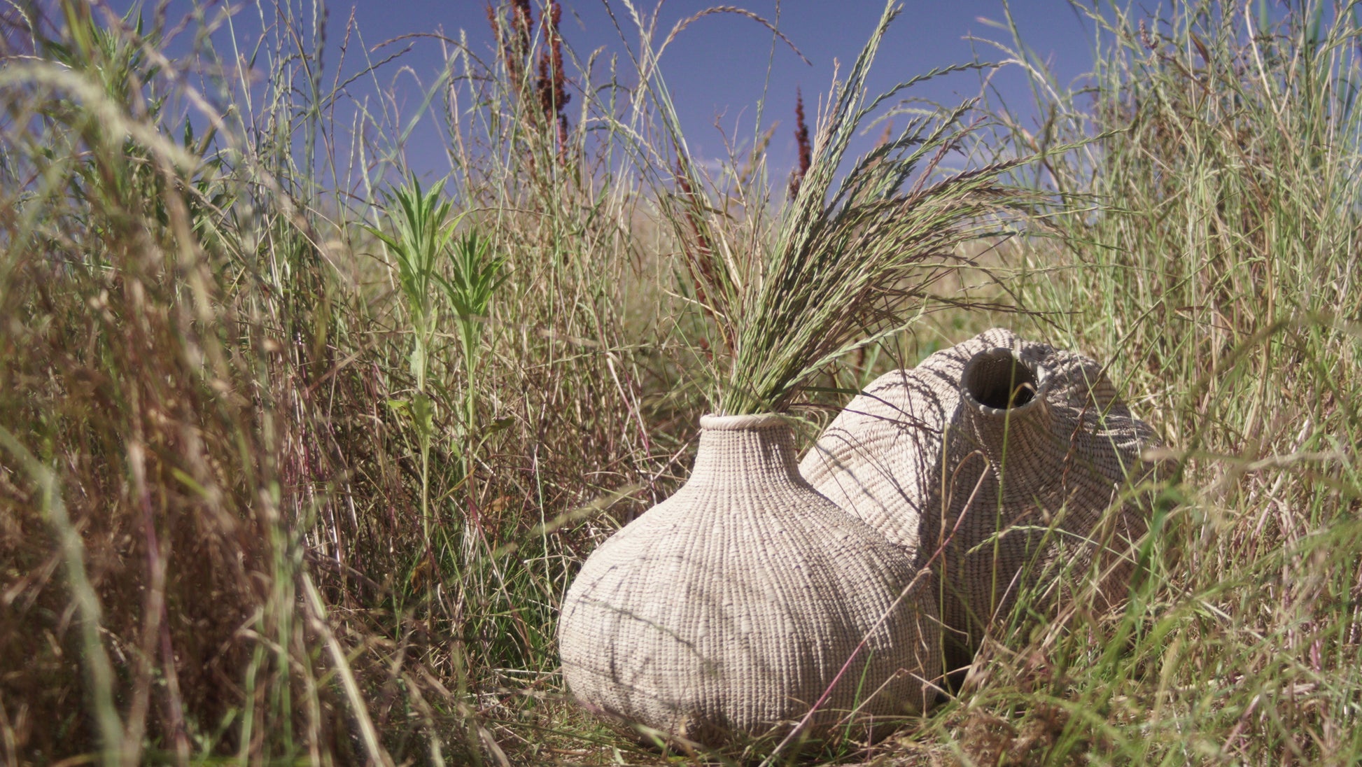 The garlic gourd photographed with grass inside outside in the grass